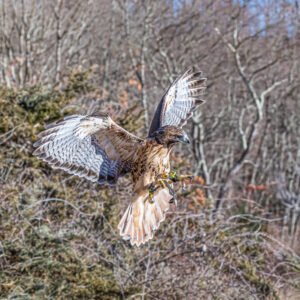 Final Approach