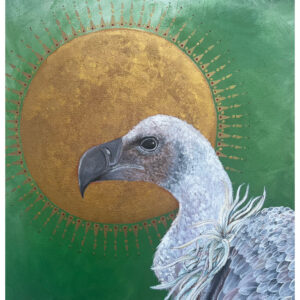 Griffon Vulture