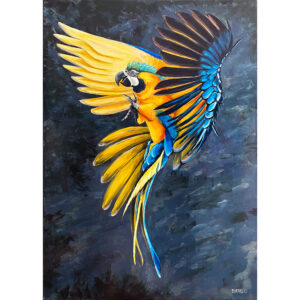 Macaw Landing