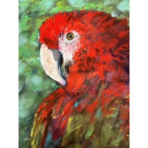Red Polly