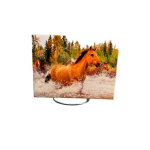 Running Free Ceramic Tiles