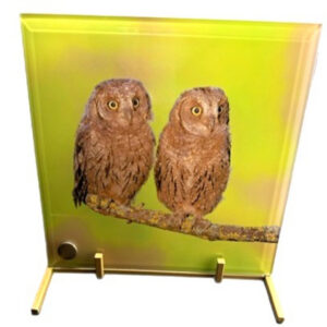 Two Peas in a Pod Standing Glass Panel