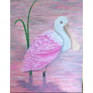 Wading Roseate Spoonbill