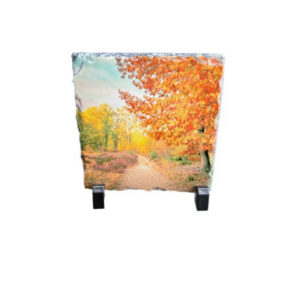 Walk in the Park Slate Tile