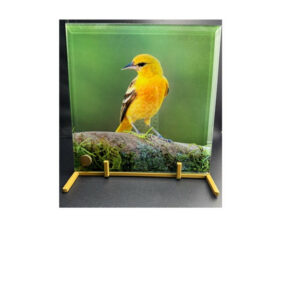 Yellow Bird Standing Glass Panel