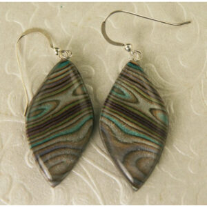 Abalone Swirl Earrings