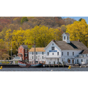 Autumn Canopy Over Essex Harbor