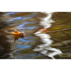 Autumn Drift