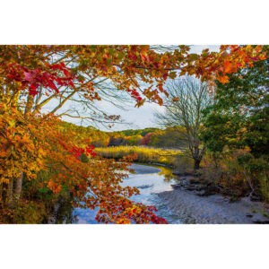 Autumn Foliage and Stream