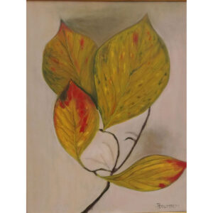 Dogwood Leaves