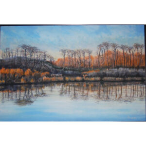 Frosty Morning Reflections