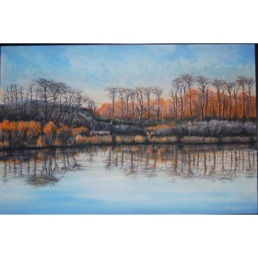 Frosty Morning Reflections