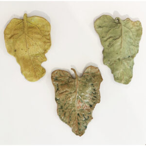 Leaf Trio One Set of 3
