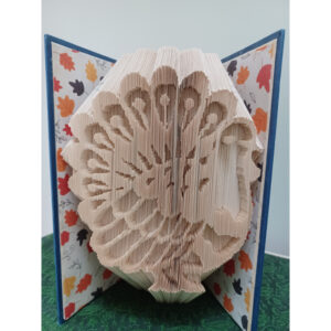 Turkey Book Art